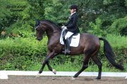 Entraineur certifié dressage - Rive nord de Mtl