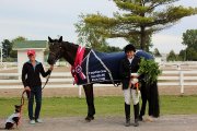 Entraineur certifié dressage - Rive nord de Mtl