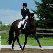 Entraineur certifié dressage - Rive nord de Mtl
