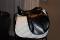 Selle anglaise