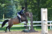 Ponette à louer pour la saison 2014!