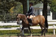 Ponette à louer pour la saison 2014!