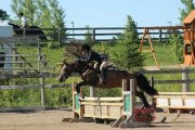 Ponette à louer pour la saison 2014!