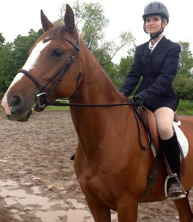 Jument quarter horse de 10ans à vendre (4000$ négociable)