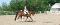 large ponette chasseur/sauteur