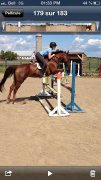 large ponette chasseur/sauteur