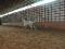 manege interieur a louer 