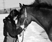 Cours Équitation Classique