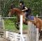 Cours Équitation Classique