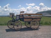 Wagonette pour chevaux