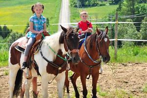 Journée découverte pour enfants équitation western!