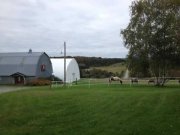 Pension pour chevaux près de Magog!!