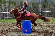 Cours d'équitation west. près de Magog pour tout niveaux!