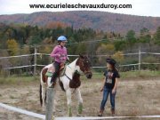 Cours d'équitation west. près de Magog pour tout...