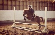 Super Médium Poney à vendre