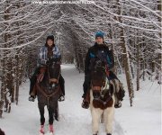 Randonnée à cheval Estrie