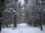 Randonnée à cheval Estrie