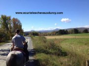 Randonnée à cheval Estrie