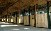 recherche BOXS style British, pour tournage de film
