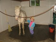 petits poneys