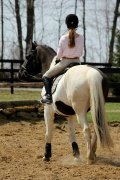 Parfait schoolmaster à vendre ! 