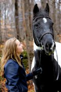 Parfait schoolmaster à vendre ! 