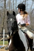Parfait schoolmaster à vendre ! 
