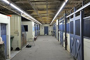 Poste de palefrenier a combler dans un belle écurie!!