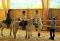 Dressage coaching