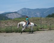 équitation western