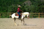 Vacances sur ferme équestre 