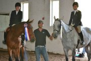 Cheval de concours exceptionnel 