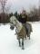 Cheval de concours exceptionnel 