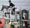 Cheval de concours exceptionnel 