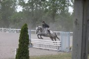 Cheval de concours exceptionnel 