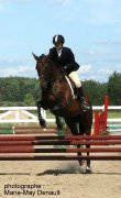 Superbe Appendix 7 ans, dressage et obstacle