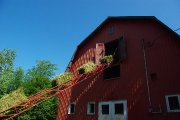 Camp Wilvaken Instructeur en charge d'écurie - l'été à Magog