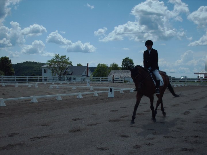 Dynamite TB - dressage