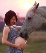Splendide Jument QH 100% Sécuritaire