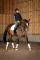 Entraîneur à domicile (Dressage)