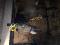 DEMI- PENSION A 75.00$ (st-Janvier)