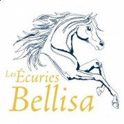 Cours/Entraînement