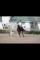 Recherche cheval de dressage