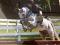 **PONNETTE SCHOOLMASTER A VENDRE, DOIT...