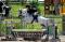**PONNETTE SCHOOLMASTER A VENDRE, DOIT...