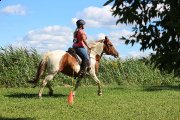 Cherche emploi pour l'été 2014 