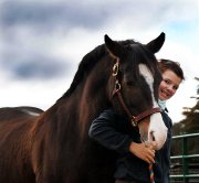 large poney dressage et obstacle