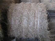 BALLES RONDES FOIN SEC TRÈS BONNE QUALITÉ POUR CHEVAUX