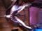 Selle et tapis a vendre