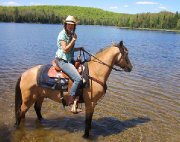 Très bon cheval offert en demi-pension :)